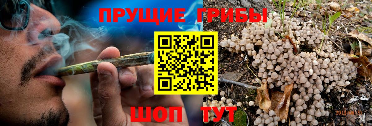 Галлюциногенные грибы ЛСД  Псилоцибиновые грибы Cubensis  Красноармейск  Вход с VPN 